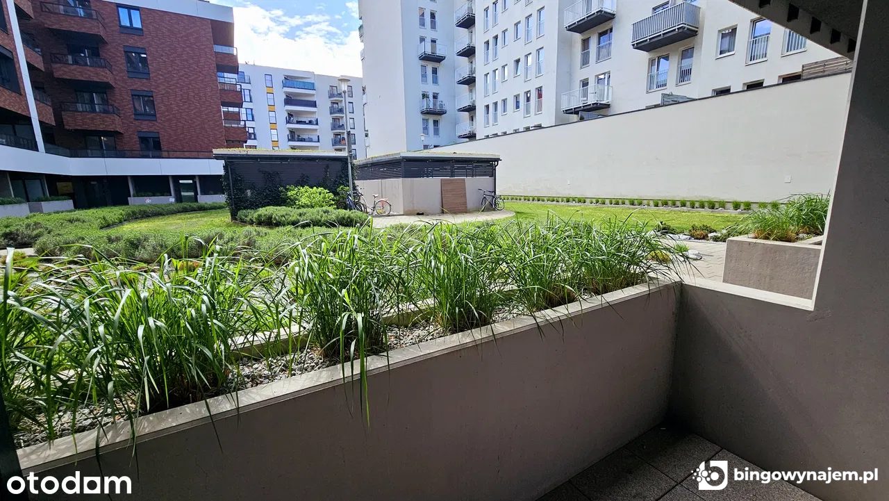 Od zaraz. Dmowskiego, centrum, kawalerka (1 os), ogród