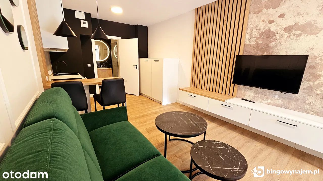 Od zaraz. Dmowskiego, centrum, kawalerka (1 os), ogród